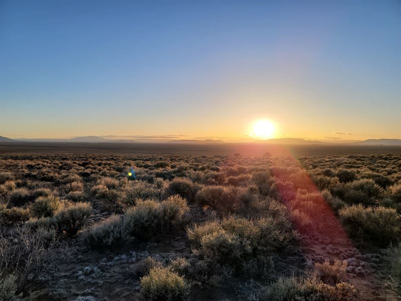 Off Grid Living in Wild Horse Mesa : San Luis : Costilla County : Colorado