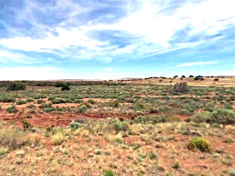 Gorgeous Agricultural Land : Concho : Apache County : Arizona