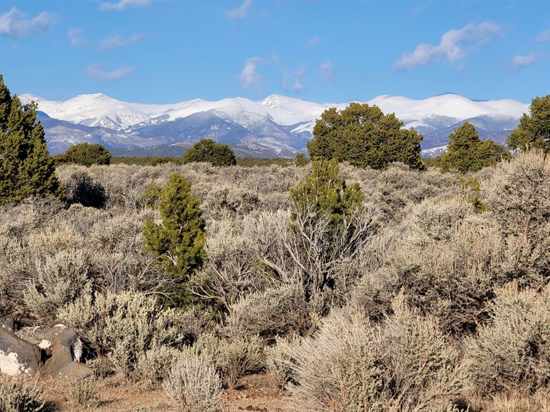 Cleared and Ready for Camping or RV : San Luis : Costilla County : Colorado
