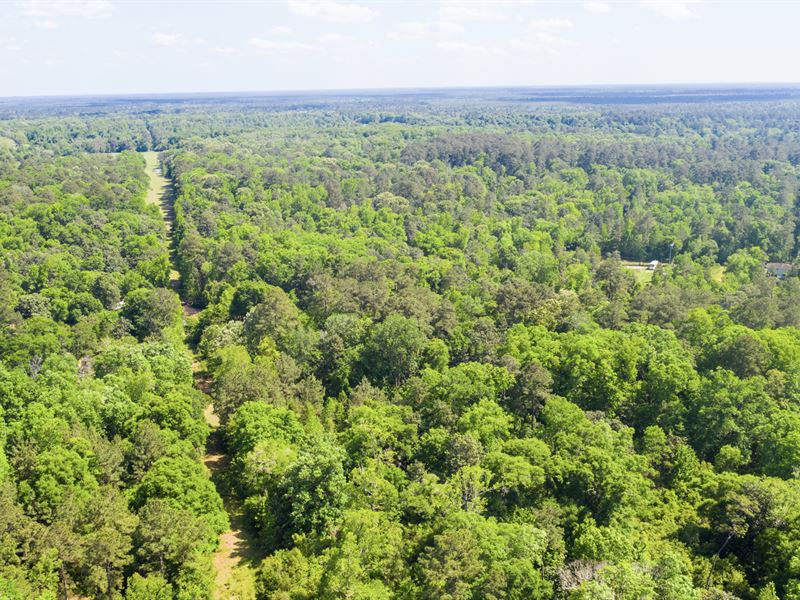 Wooded Lot with Utilities Near Lake : Cleveland : Liberty County : Texas