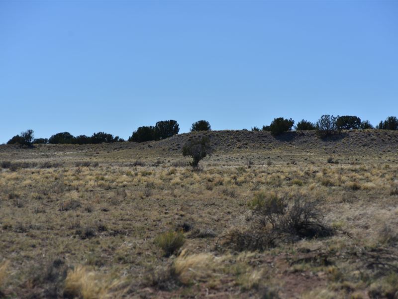 Own Paradise Near Petrified Forest : Sanders : Apache County : Arizona