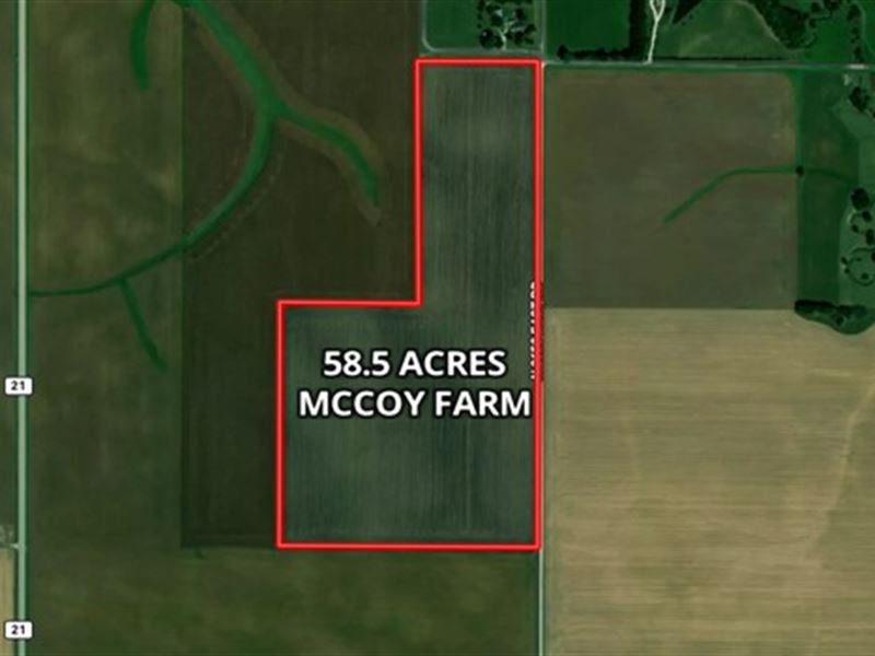 58 Acre Lexington Farm : Lexington : McLean County : Illinois