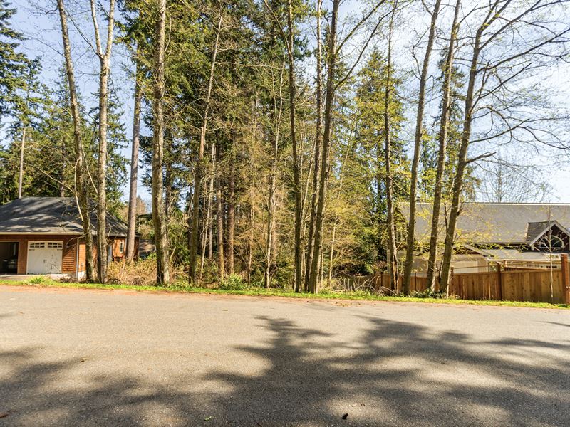 Wooded Lot, Road Near Lake & Bay : Freeland : Island County : Washington