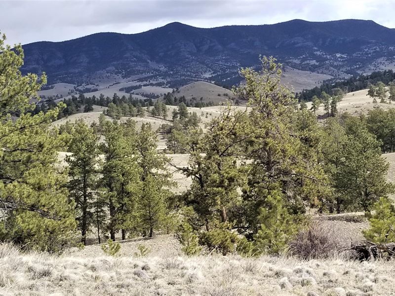 40 Acres in Guffey, Colorado : Guffey : Park County : Colorado