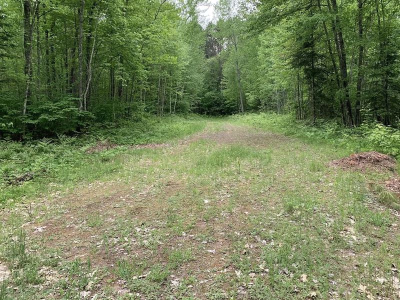 .35 Acre Near Shishebogama Lake, WI Land for Sale by Owner in Lac Du