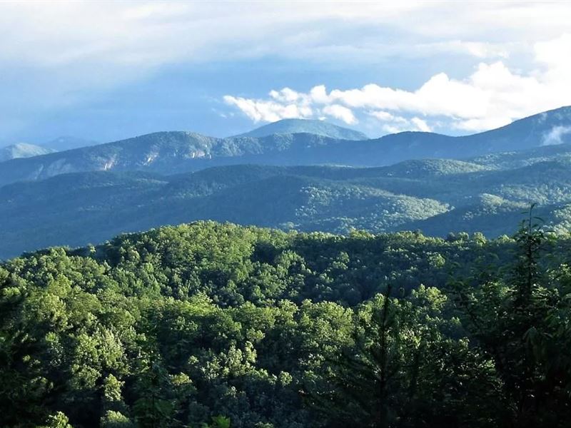 2 Acres in Old Fort Gated Community : Old Fort : McDowell County : North Carolina