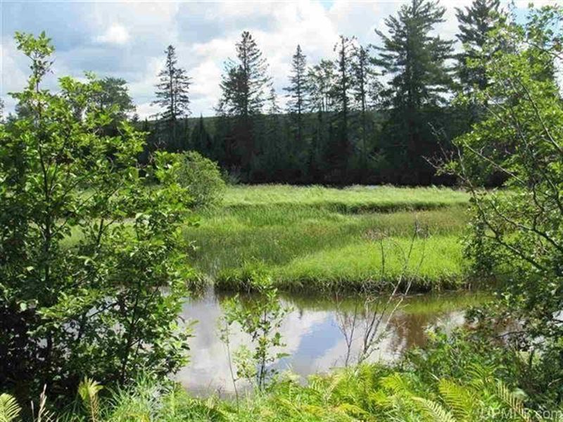 1356+/- Ac U.P. Timber Prop, Lake : Kenton : Iron County : Michigan