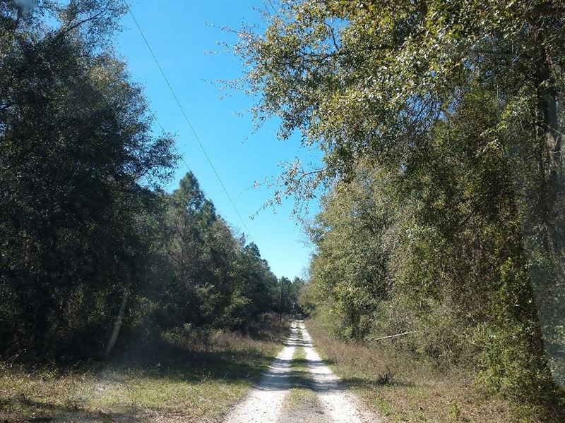 Location, Location, Location : Live Oak : Suwannee County : Florida