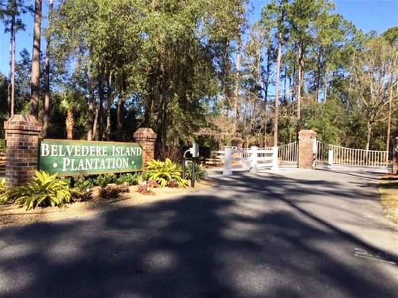 Belvedere Island Plantation : Townsend : McIntosh County : Georgia
