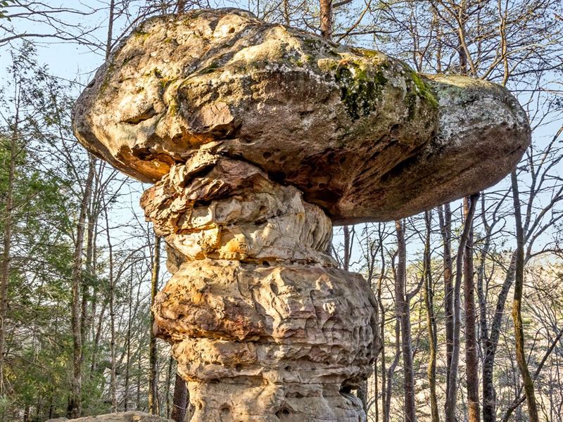 180 Acres, Creek, Rock Formations : Signal Mountain : Sequatchie County : Tennessee