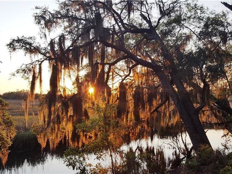 Springfield Plantation : Townsend : McIntosh County : Georgia