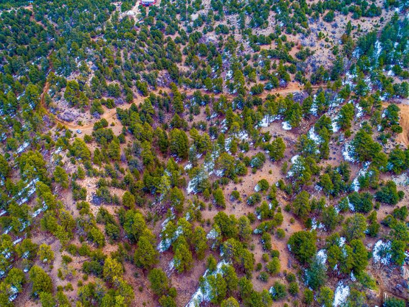 Incredible Acreage in Custer County : Westcliffe : Custer County : Colorado