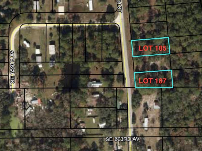 Build Your Dream Home : Suwannee : Dixie County : Florida