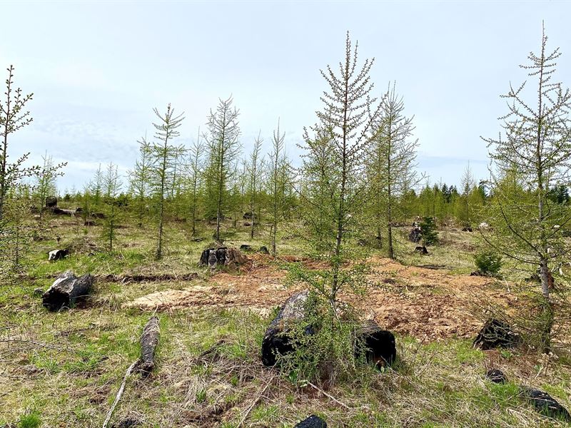 Wildwood Estates Orofino, Idaho : Orofino : Clearwater County : Idaho
