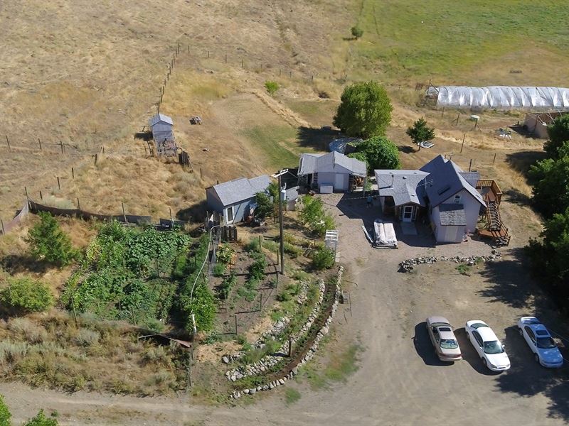 A Cozy Home, Farm Animals Shop 16 : Hunters : Stevens County : Washington