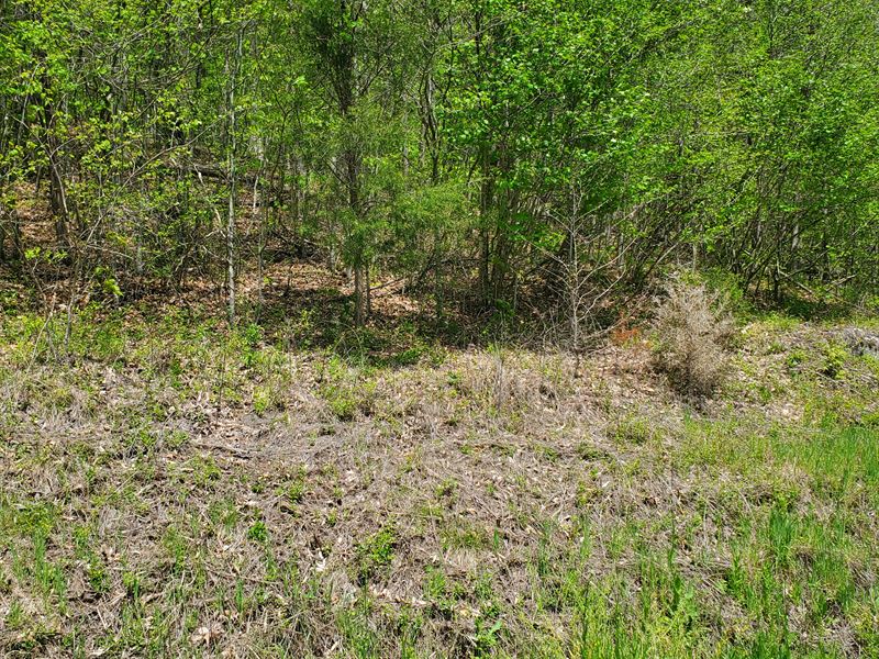 3.29 Acre Lot, Norris Lake Access : New Tazewell : Claiborne County : Tennessee