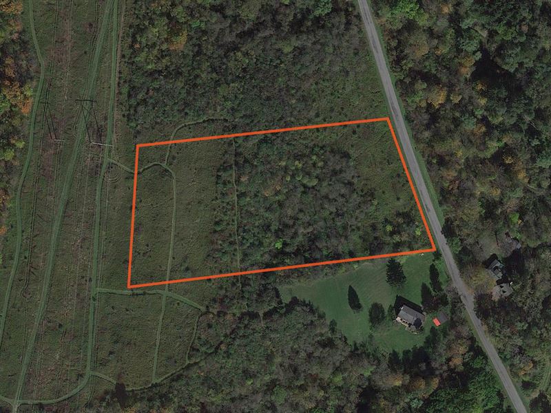 Building Lot with Frontage & Woods : Fabius : Onondaga County : New York