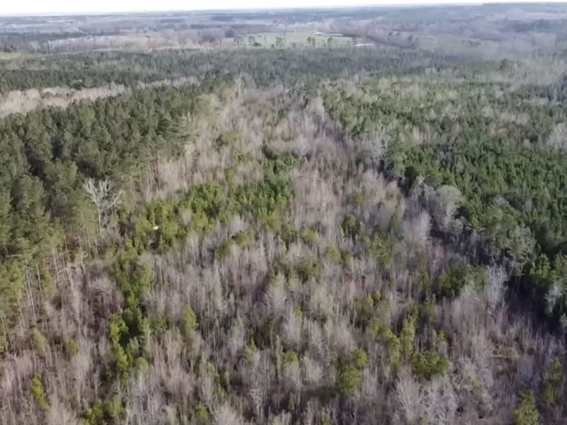 Recreational Tract : Ridgeway : Fairfield County : South Carolina