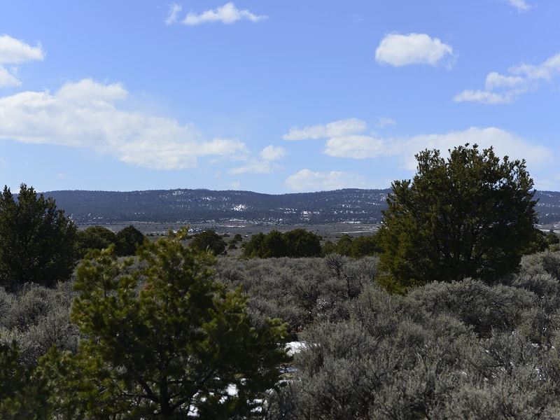 Cheap Property in NM : Tres Piedras : Taos County : New Mexico