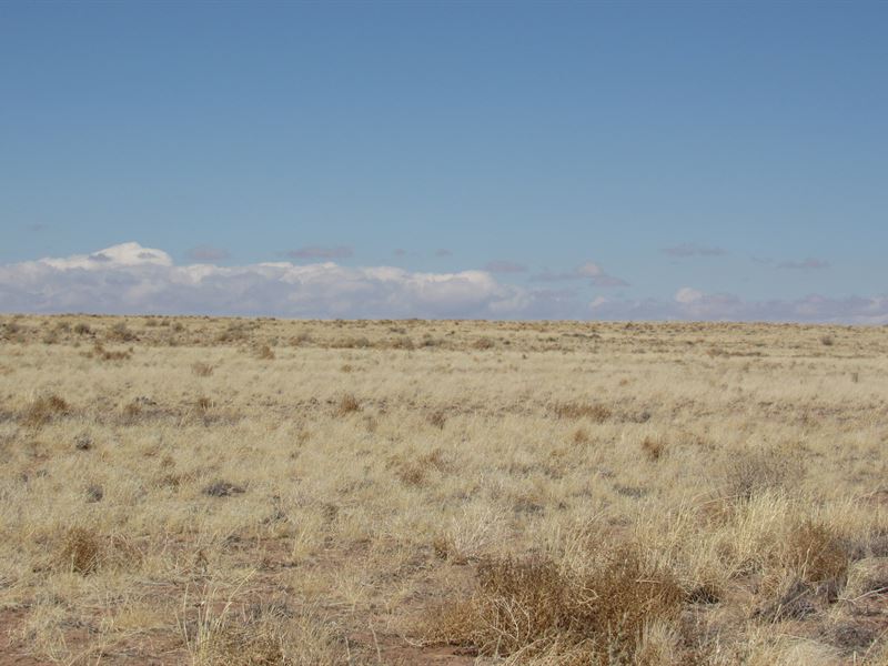 1.33 Arce Serenity : Holbrook : Navajo County : Arizona