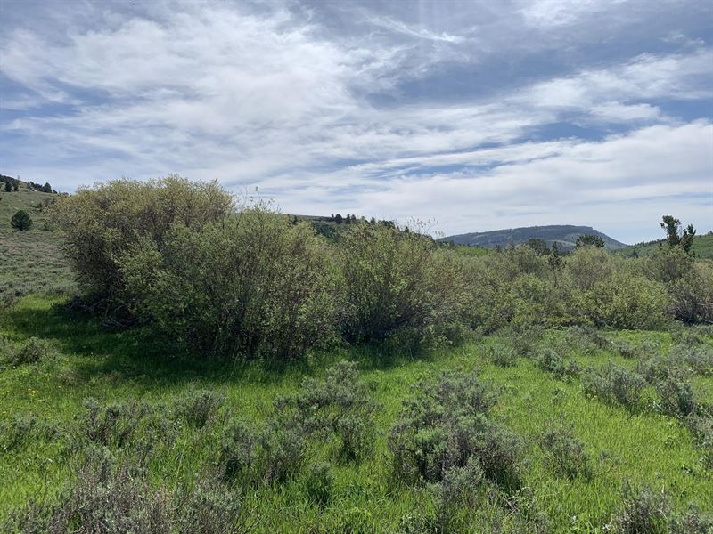 Beaver Creek Estates Lot 14 : Lander : Fremont County : Wyoming