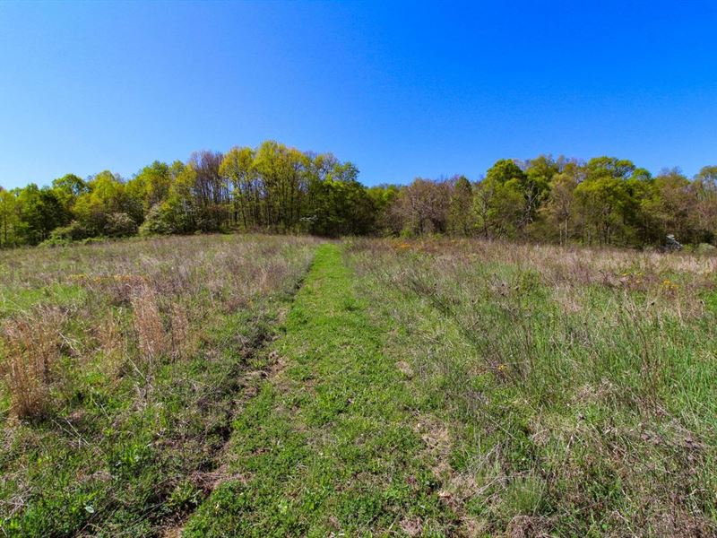 Windy Ridge Tract 2, 20 Acres, Mu : New Concord : Muskingum County : Ohio
