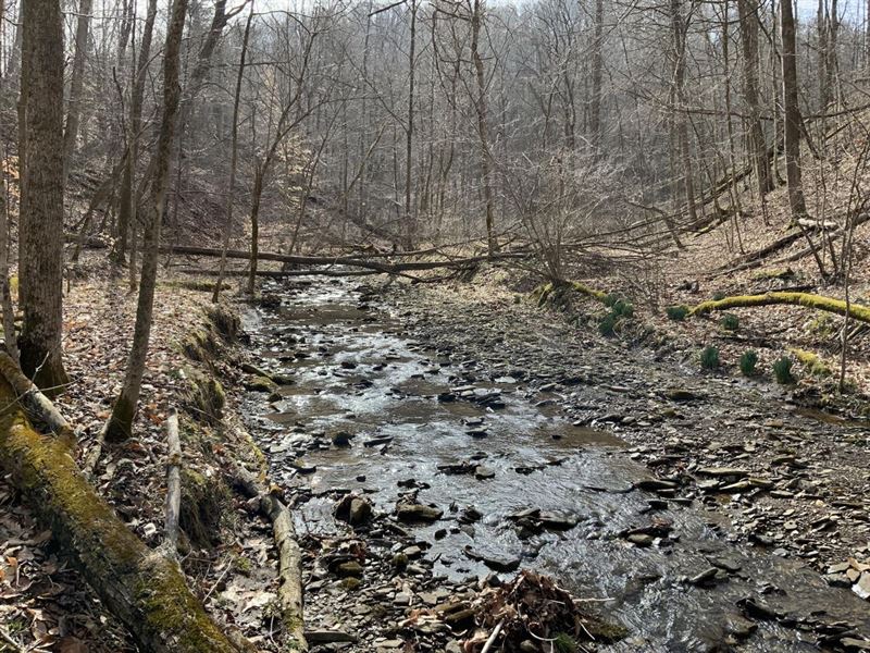 CR 9, 100 Acres, Washington Count : Newport : Washington County : Ohio