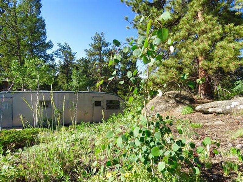 Beautiful Views From This Private : Red Feather Lakes : Larimer County : Colorado