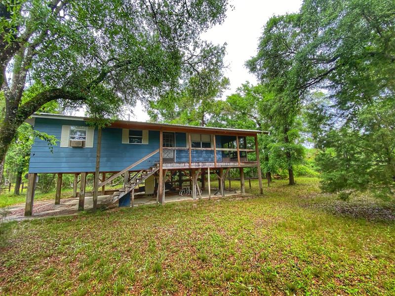 The Suwannee River Calling Your : Branford : Lafayette County : Florida