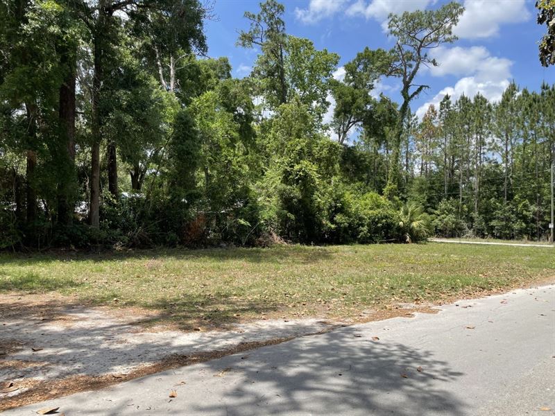 Buildable Lot in The Heart Of Town : Chiefland : Levy County : Florida