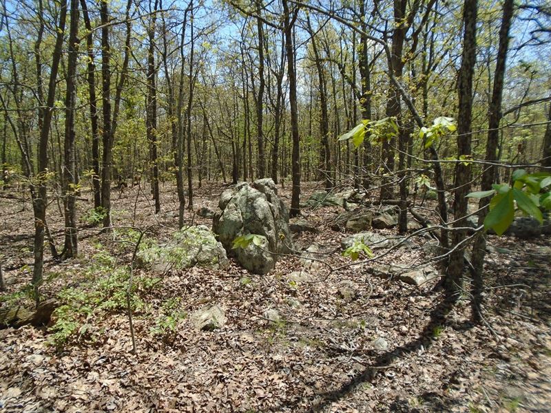 Wooded Acreage On Brown Mountain Land for Sale in Ironton, Iron