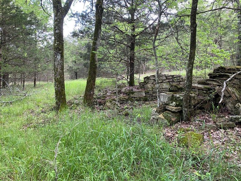 2 Lots Near Bull Shoals Lake : Protem : Marion County : Missouri