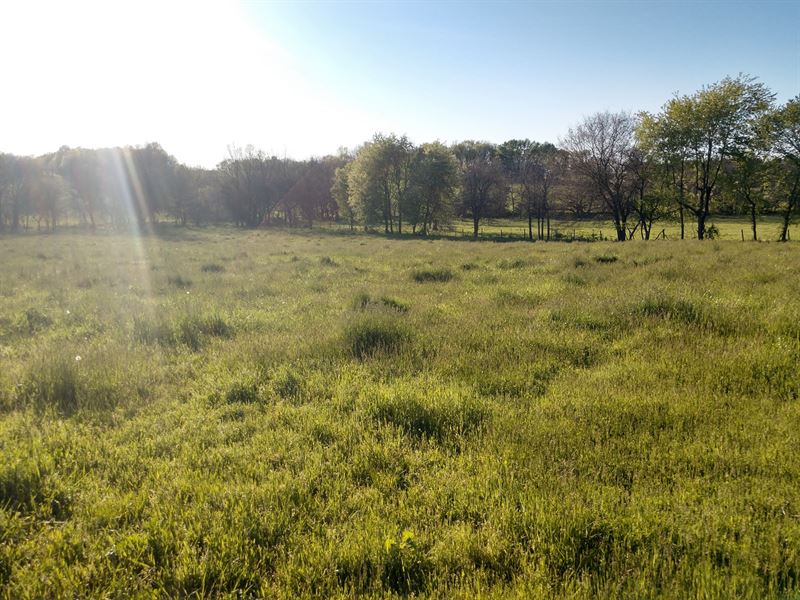 5 Acre Building Site : Walnut Grove : Greene County : Missouri
