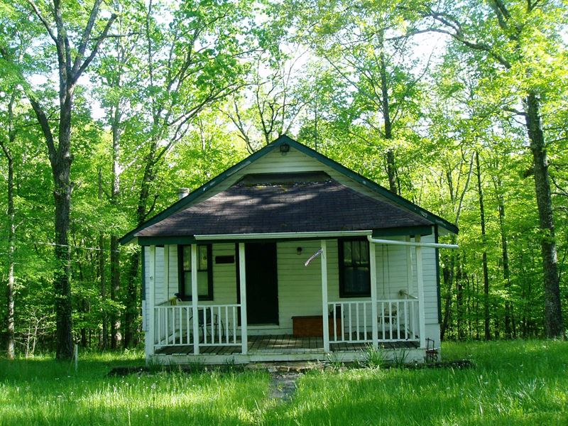 One Bedroom One Bath Cabin Basement : Wappapello : Butler County : Missouri