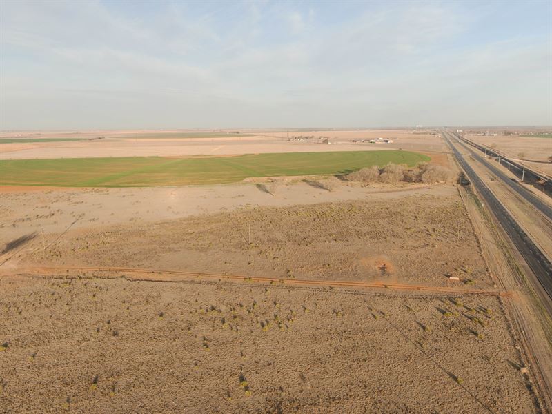 Versatile Farm, Ranch Hunting : Muleshoe : Bailey County : Texas