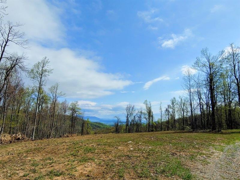 Secluded Land in Callaway VA : Callaway : Franklin County : Virginia