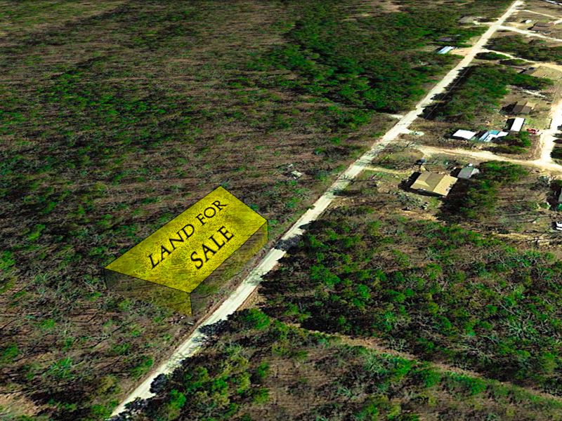 Amazing Lot : Kissee Mills : Taney County : Missouri