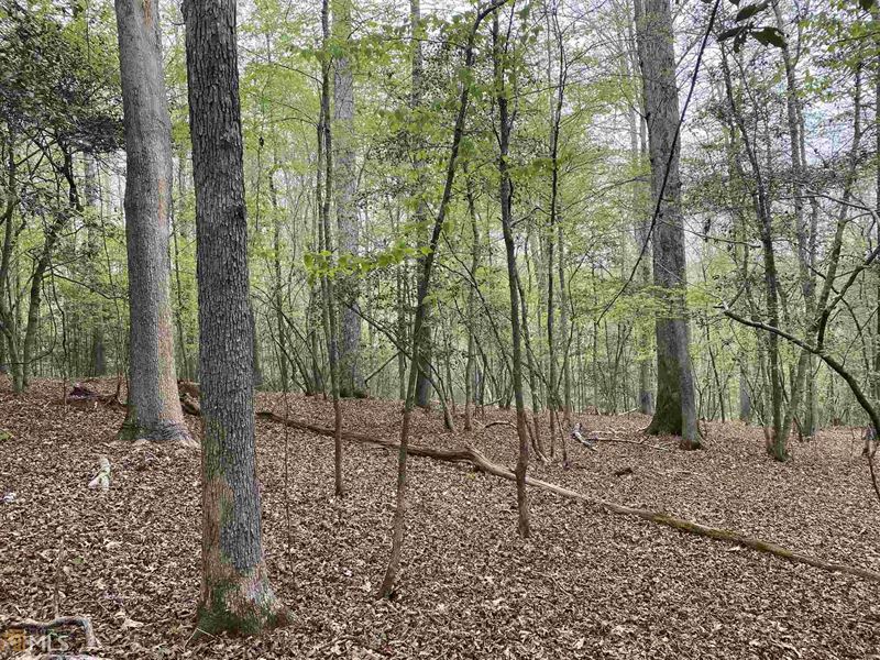 2 Acre Lot in Richmond Place : Loganville : Walton County : Georgia