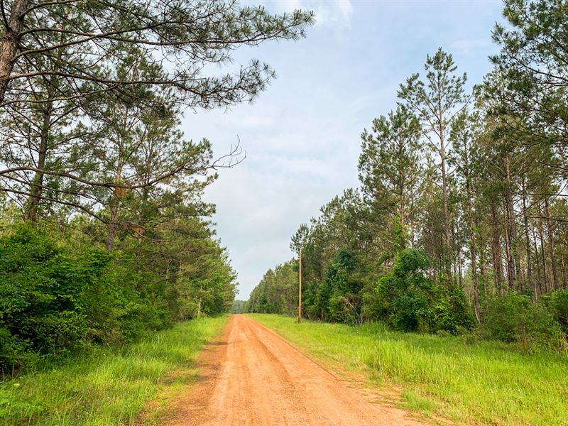 5 Acres, T-3 Morrell Road : Chester : Tyler County : Texas