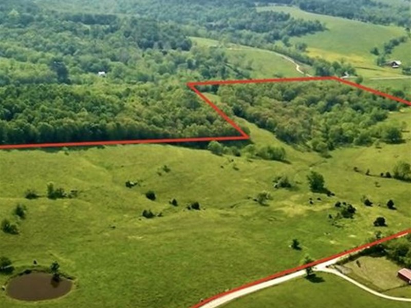 Farm and Recreational Land for Sale : Mountain Grove : Wright County : Missouri