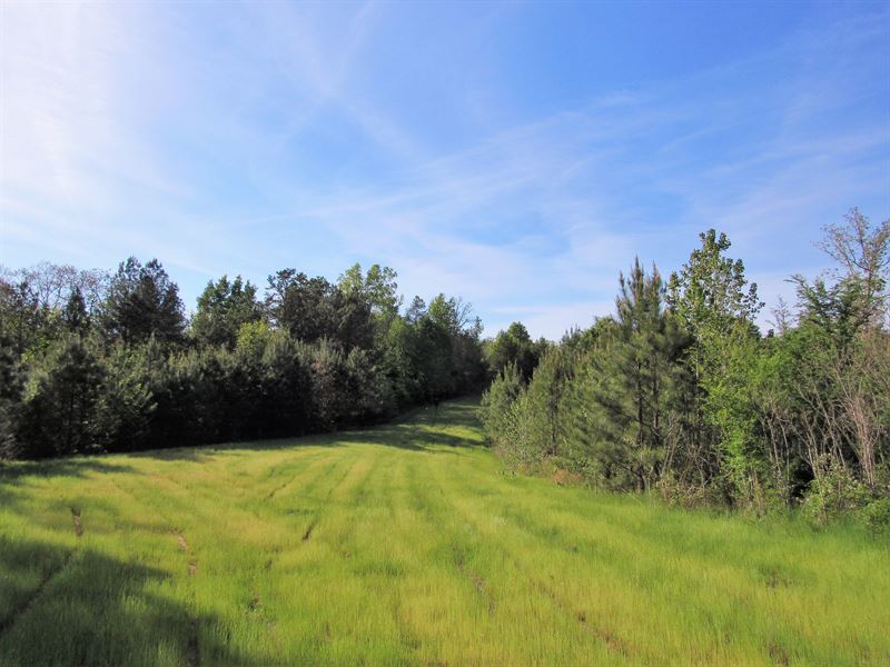 Turkey Creek Tract : Winnsboro : Fairfield County : South Carolina