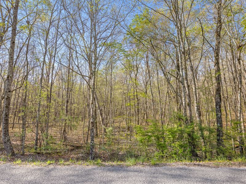 Central St : Monteagle : Grundy County : Tennessee