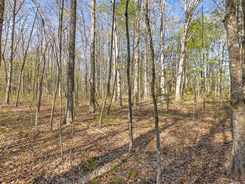 Build in Monteagle, TN : Tracy City : Grundy County : Tennessee