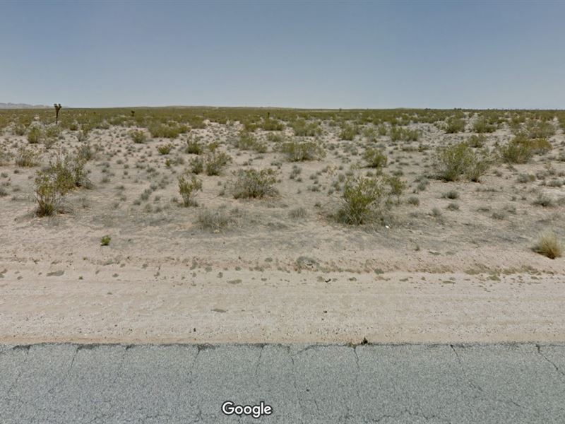 Lake Los Angeles Property : Lake Los Angeles : Los Angeles County : California