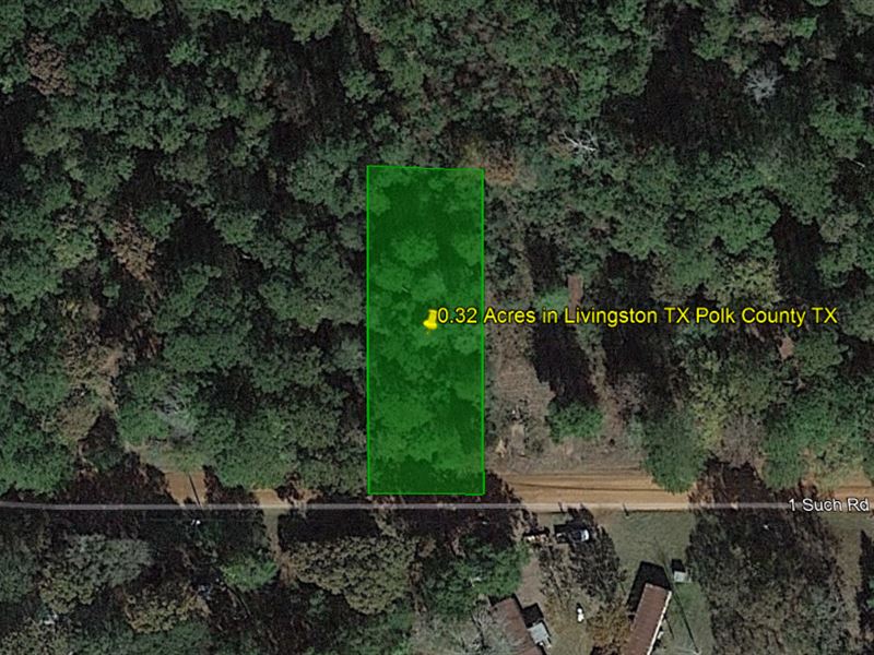 .32 Acres in Livingston, TX : Livingston : Polk County : Texas