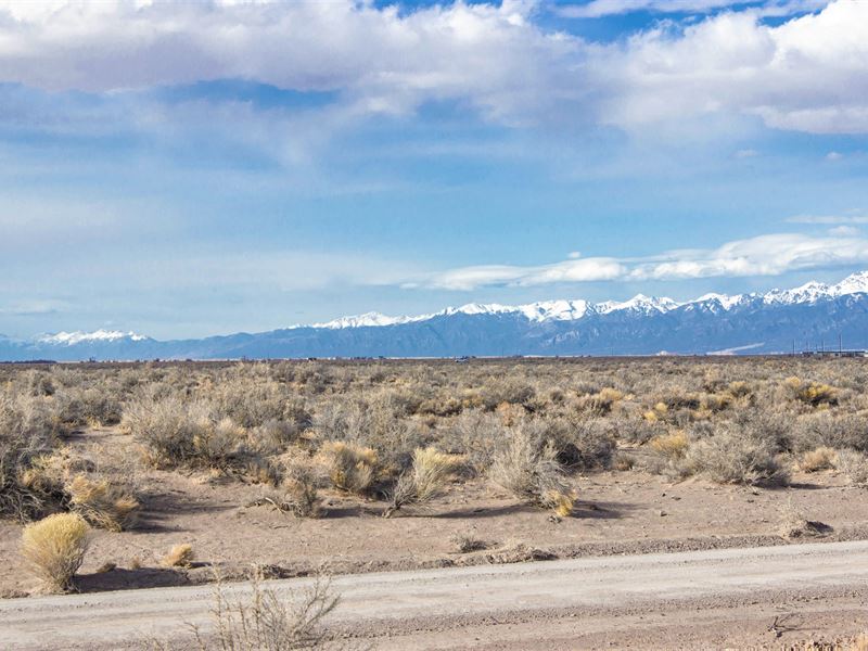 1.1 Acres Alamosa with Electricity : Alamosa : Alamosa County : Colorado