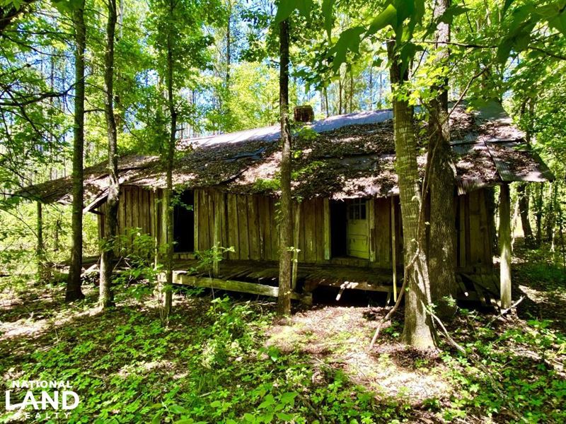 Little Catoma Creek Hwy 82 East : Mathews : Montgomery County : Alabama