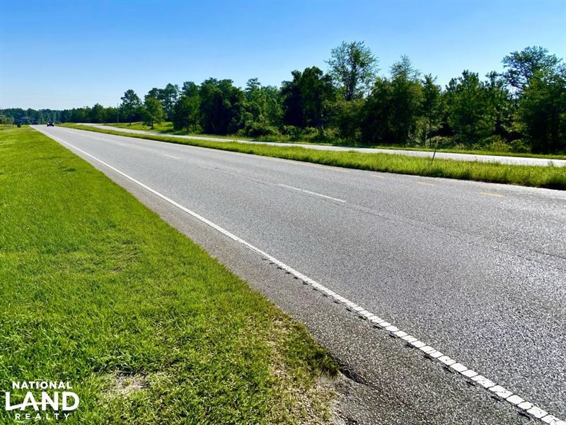 Stapleton Highway 59 Tract : Stapleton : Baldwin County : Alabama