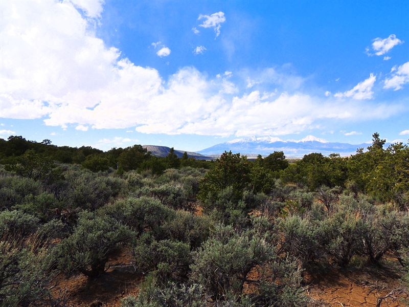 5.05 Acres, Trees, Getaway Property : Fort Garland : Costilla County : Colorado