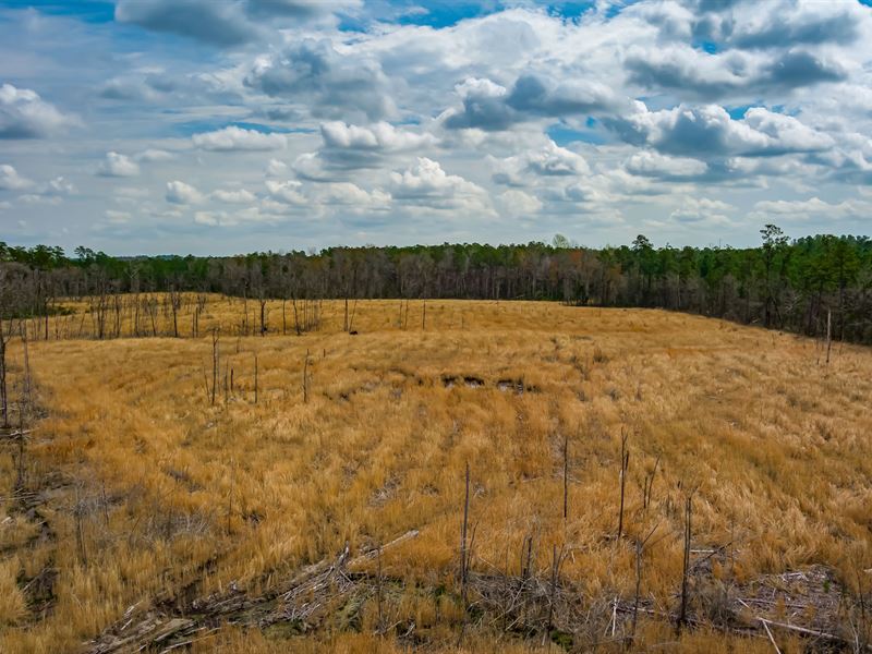 Hickory Holt Lane : Galivants Ferry : Horry County : South Carolina